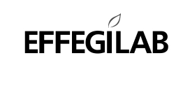 Logo-effegilab